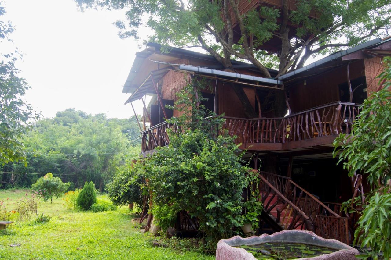 Anushka Nera Nature House Sigiriya Zimmer foto