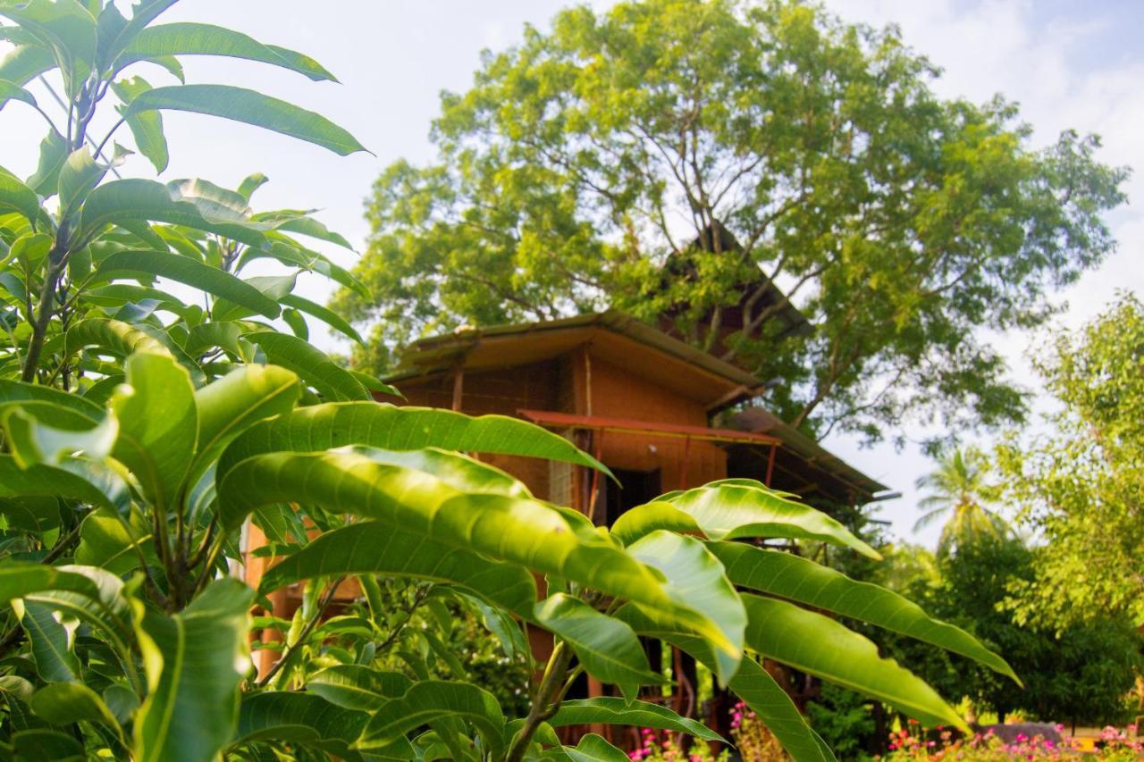 Anushka Nera Nature House Sigiriya Zimmer foto